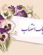 مدیرعامل اتحادیه اسکان انتخاب آقای دکتر مسکنی را تبریک گفت
