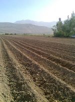تغییر کاربری اراضی کشاورزی برای اجرای نهضت ملی مسکن ممنوع شد