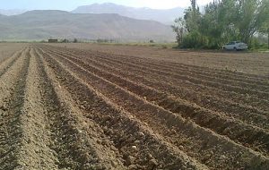 تغییر کاربری اراضی کشاورزی برای اجرای نهضت ملی مسکن ممنوع شد تغییر کاربری اراضی کشاورزی برای اجرای نهضت ملی مسکن ممنوع شد