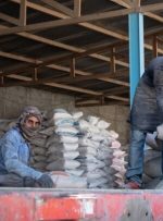 سیمان دوباره اوج گرفت