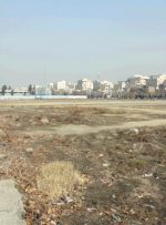 سهم دولتیها در یخچال ملکی سهم دولتیها در یخچال ملکی