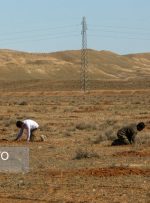 زمین‌های واگذاری باید زیرساخت و امکانات داشته باشند