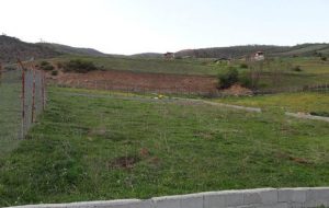 آماده واگذاری زمینهای وقفی برای نهضت ملی مسکن هستیم آماده واگذاری زمینهای وقفی برای نهضت ملی مسکن هستیم