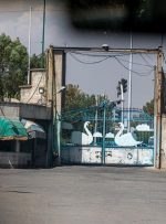 صدور پروانه برای هزار واحد ساختمانی در کارخانه روغن نباتی