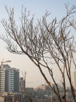 این خریداران از بازار مسکن خارج شدند