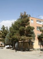 تامین مسکن راهکار اصلی تامین نیروی کار در بزرگترین شهر صنعتی کشور