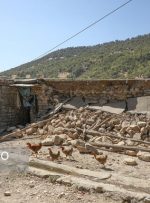 در سال ۱۴۱۰ هیچ خانه غیرمقاومی در روستاها نخواهیم داشت