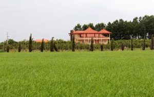 امنیت غذایی؛ قربانی ساخت واحدهای مسکن ملی