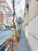 تهران؛ شهر «دوستدار خودرو»