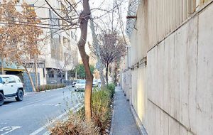 تهران؛ شهر «دوستدار خودرو»