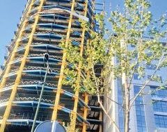 قانون یا ماشین پولسازی تخلفات ساختمانی؟ قانون یا ماشین پولسازی تخلفات ساختمانی؟