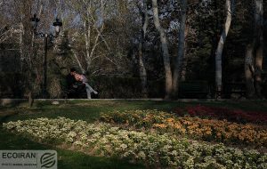 داستان ساخت پارکهای محبوب تهران داستان ساخت پارکهای محبوب تهران