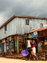 چکاپ بدمسکن‏‌ها در آزمایشگاه «کیبرا»