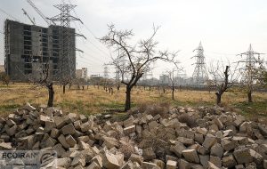 شرایط صدور سند مالکیت برای اراضی زراعی و باغ‌ها اعلام شد