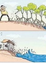 عکس روز؛عاقبت جنگل‌خواری