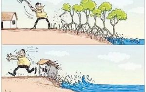 عکس روز؛عاقبت جنگل‌خواری
