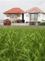 ارجاع پرونده ساخت و ساز در باغات به کمیسیون کشاورزی