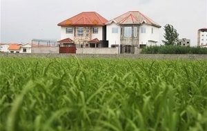 ارجاع پرونده ساخت و ساز در باغات به کمیسیون کشاورزی