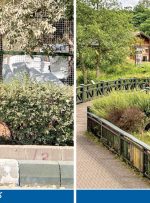 ساختمانسازی در پارک پردیسان ساختمانسازی در پارک پردیسان