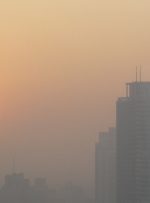 کلان‌شهرهای خودشکننده
