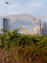 ضوابط حفاظتی عرصه و حریم باغ گیاه‌شناسی در طرح تفصیلی تهران منعکس می‌شود