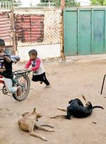 فروپاشی بازار مسکن در ونزوئلا