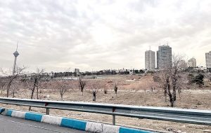 برج‌سازی در محله حائل