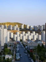 شوک مسکن در حومه تهران