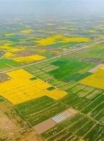تغییر کاربری روزانه ۶٫۷ هکتار از اراضی کشاورزی کشور