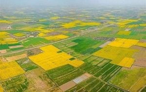 تغییر کاربری روزانه ۶٫۷ هکتار از اراضی کشاورزی کشور تغییر کاربری روزانه ۶٫۷ هکتار از اراضی کشاورزی کشور