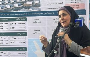 «سکونتگاه غیررسمی» نداریم/ یک گام تا پایان حاشیه‌نشینی